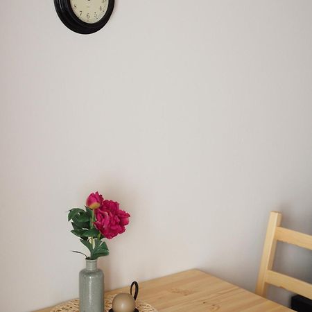 Miraka Apartman Lipno nad Vltavou Kültér fotó